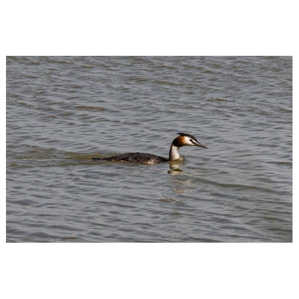 PHOTO84, CLUB, 84 , LUBERON